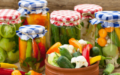 Workshop Fermentieren